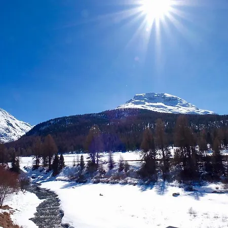 Enzo * Pontresina