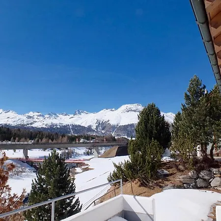 Enzo * Pontresina